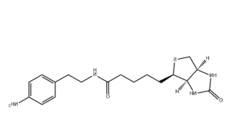 Biotin-aniline