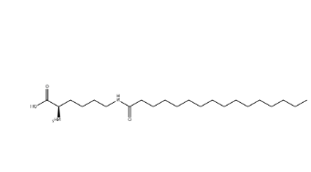N6-(1-oxohexadecyl)-L-lysine