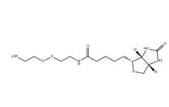 Biotinyl Cystamine Biotinyl Cystamine