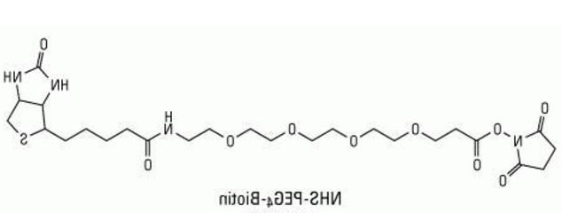 生物素-PEG4-NHS