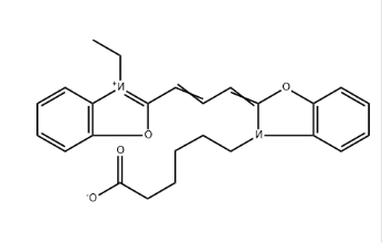 Cyanine2 acid Cyanine2 acid