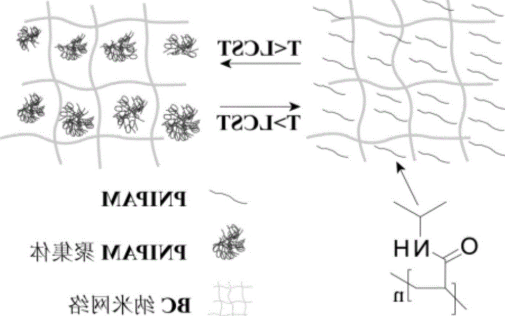 聚酰胺超支化聚合物