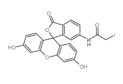 6-Iodoacetamidofluorescein 
