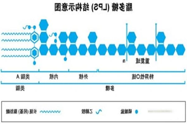 脂多糖