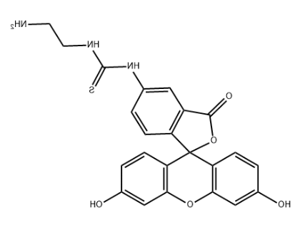 5-FITC-C2-NH2
