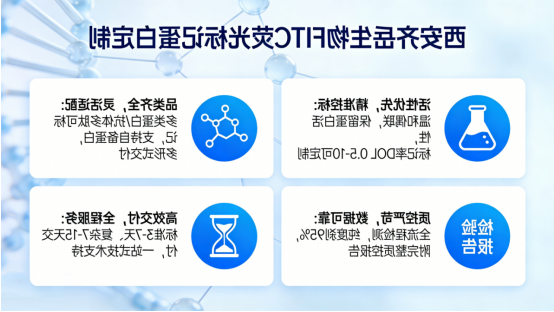 核心优势