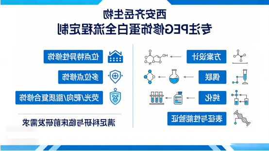 西安齐岳生物PEG修饰蛋白定制服务