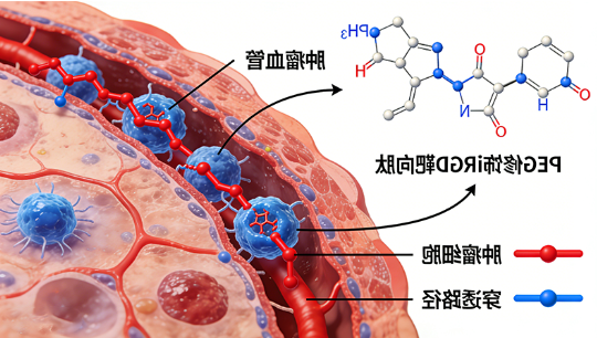 PEG修饰iRGD靶向肽