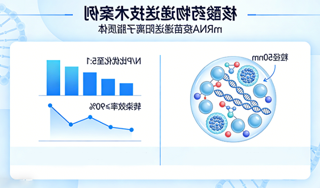 核酸药物递送（siRNA/mRNA/DNA/CRISPR递送）