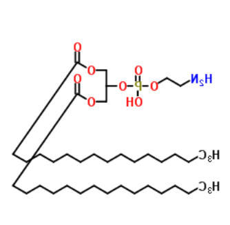 1,3-二棕榈酰-glycero-2-磷酸乙醇胺 