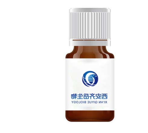 透明质酸-二硫键-聚己内酯