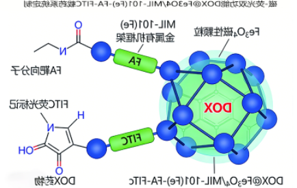 磁-荧光双功能DOX@Fe₃O₄/MIL-101(Fe)-FA-FITC载药系统定制
