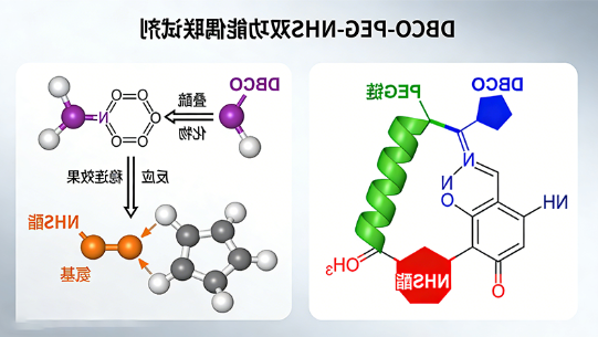 DBCO-PEG-NHS双功能偶联试剂定制
