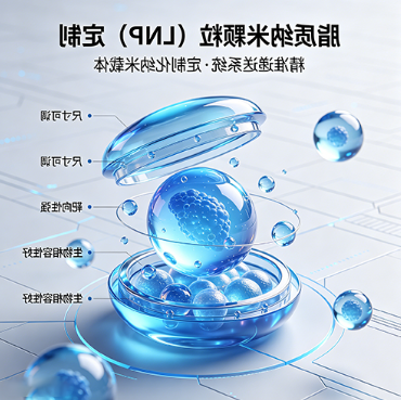 LNP定制化设计服务