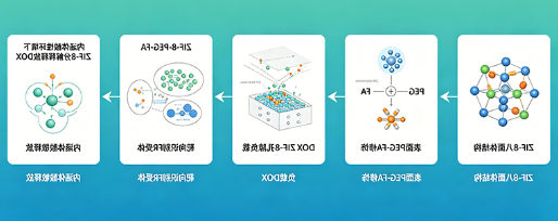 叶酸靶向ZIF-8载药微球(主动靶向递送) 叶酸靶向ZIF-8载药微球(主动靶向递送)