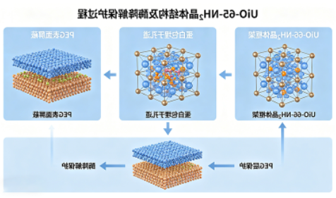 UiO-66-NH₂负载蛋白(大分子药物递送) UiO-66-NH₂负载蛋白(大分子药物递送)
