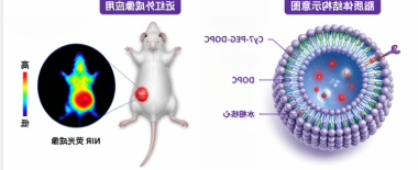 Cy7-PEG-DOPC 近红外探针磷脂脂质体定制