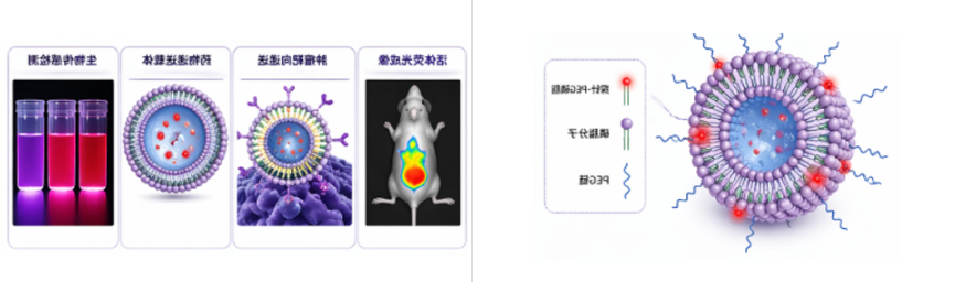 近红外探针PEG磷脂化偶联改性定制服务