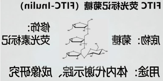 FITC-菊粉 FITC-菊粉