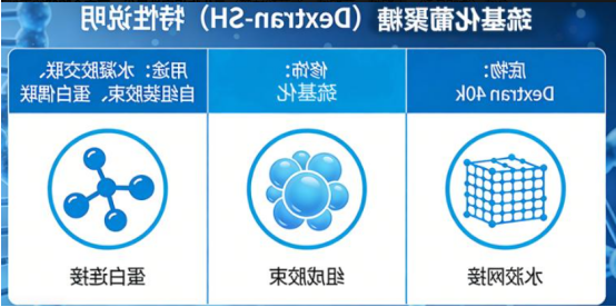 巯基化多糖 巯基化多糖