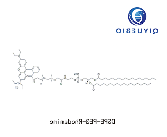 DSPE-PEG-Rhodamine