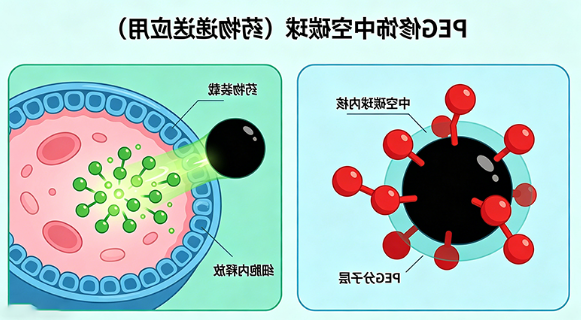 PEG修饰中空碳球定制（药物递送应用）