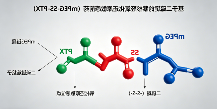 基于二硫键的紫杉醛氧化还原敏感前药（mPEG-SS-PTX）