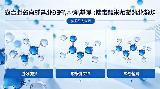 功能化修饰纳米酶定制：氨基/羧基/PEG化与靶向改性合成（西安齐岳生物）