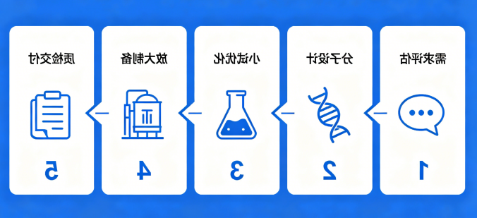 服务流程 服务流程