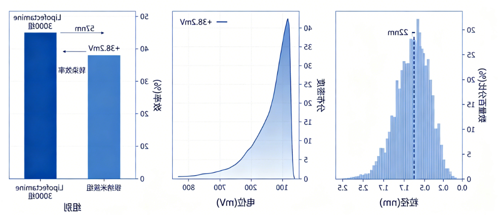 跨膜肽TAT修饰银纳米簇用于siRNA递送