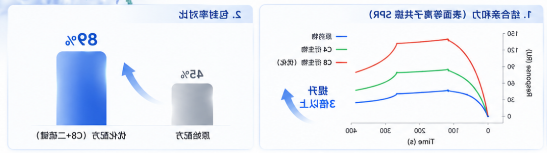 【定制案例】前药策略提升结合亲和力