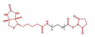 NHS-PEG-Biotin