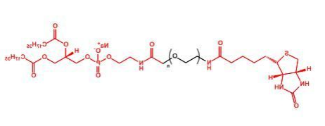Biotin-PEG-DSPE