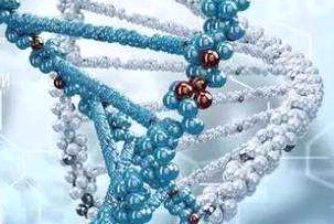 DSPE-PEG-Anti-CD44(二硬脂酰基磷脂酰乙醇胺-聚乙二醇-靶向蛋白,磷脂-聚乙二醇-多肽)
