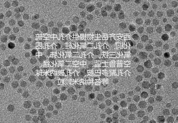 pH敏感性阿霉素聚合物前药 PAMAM-PEG-C12-hyd-DOX