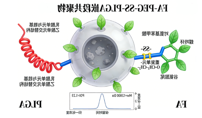 靶向性前体药物定制服务（pH敏感型，氧化还原敏感型，酶响应型，载体包覆型前体药物等）