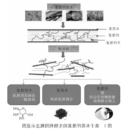 木质纤维素的生物利用理念（供应纤维水凝胶定制服务）