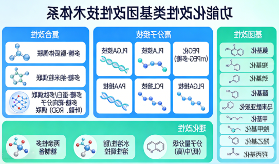 枸杞多糖、黄芪多糖、人参多糖、芦荟多糖的荧光修饰与改性