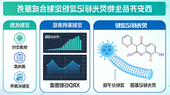 荧光标记淀粉定制，多种荧光基团，淀粉基材选择