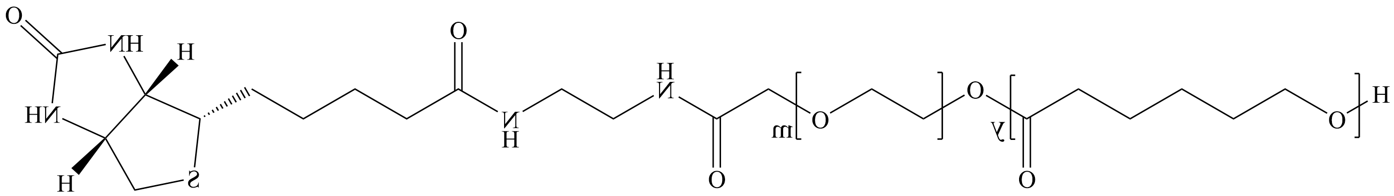 聚己内酯-聚乙二醇-生物素，PCL-PEG-Biotin功能聚合物助力蛋白偶联与活体追踪成像