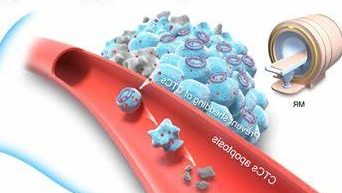 硼替佐米–胆固醇偶联物定制技术