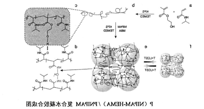 P(NIPAM-HEMA)/PNIPAM互穿网络复合水凝胶合成图，与 PNIPAM凝胶比较优缺点