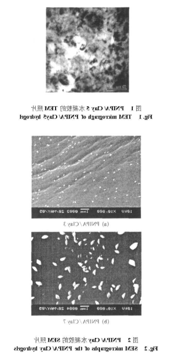 PNIPA ay水凝胶的制备、形态、TEM照片、SEM 照片