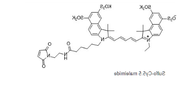 Sulfo-cyanine5.5 maleimide，磺化Cy5.5-马来酰亚胺，水溶性Cy5.5 maleimide（MAL）