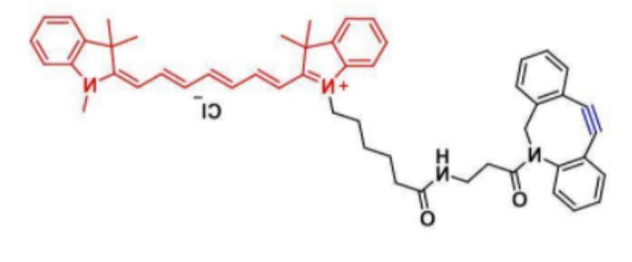 前体药物改性修饰prodrug业务介绍-西安齐岳生物科技有限公司