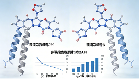 PEG修饰蛋白定制合成-西安齐岳生物提供