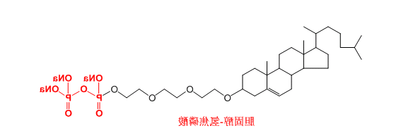PPI-cholestrol氢焦磷酸修饰胆固醇的应用及相关产品 （齐岳生物分享）