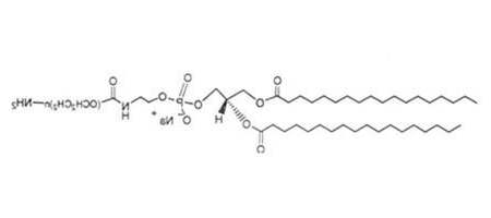 胆固醇-PEG2000-NH2 Cholesterol-PEG-Amine 胆固醇-聚乙二醇-氨基是一种具有良好水溶性共轭亲脂性脂质PEG