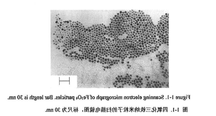 CS@Fe3O4 nanoparticles（50nm）   壳聚糖修饰四氧化三铁纳米颗粒（50nm）
