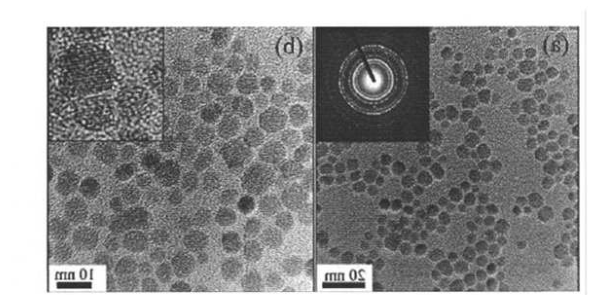 CS@Fe3O4 nanoparticles（30nm）  壳聚糖修饰四氧化三铁纳米颗粒（30nm）